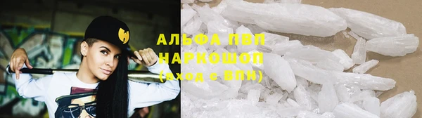 прущие крисы Лабытнанги