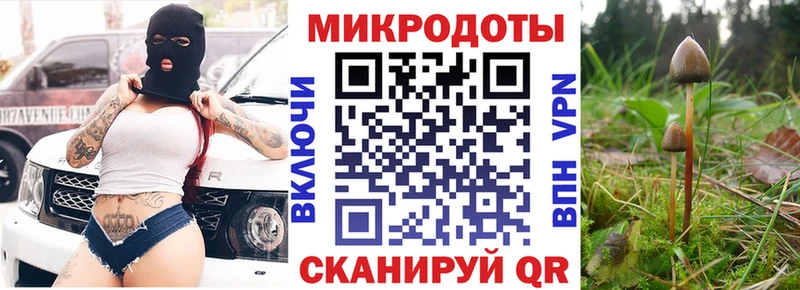 Псилоцибиновые грибы Magic Shrooms где найти наркотики mega ссылка Липки